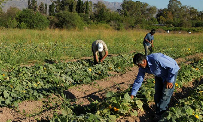 La Multisectorial 21 F denuncia “persecución” a trabajadores rurales en varias provincias