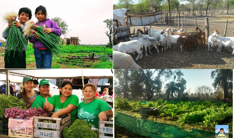 El campo que alimenta sigue marcando el camino hacia la soberanía alimentaria