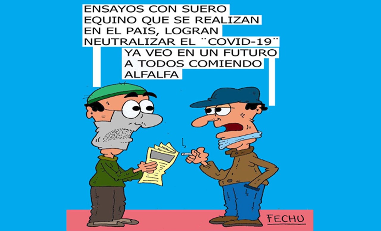 Neutralizar el Covid-19
