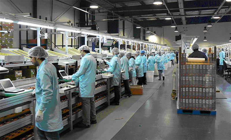 Reabrieron unas 600 empresas industriales en La Matanza