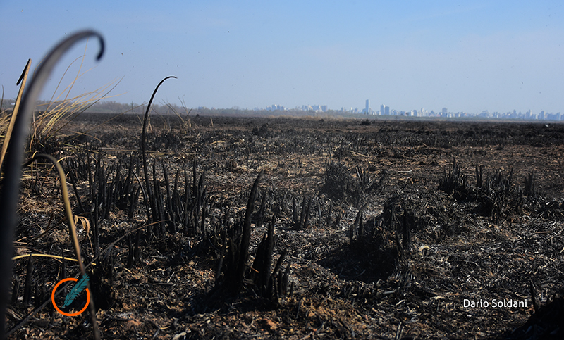 Unas 90 mil hectáreas fueron afectadas por el fuego en islas del Paraná