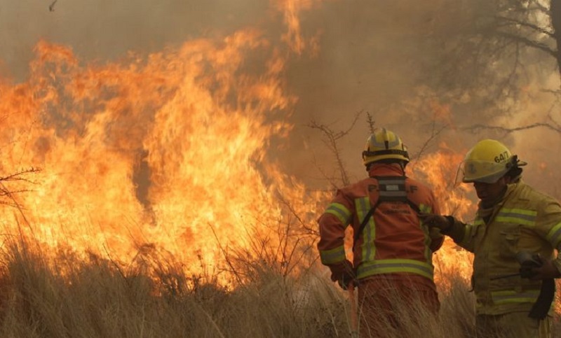 Continúan los incendios forestales en Córdoba con focos en Alta Gracia y Characato