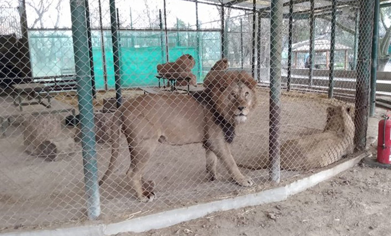 Clausuraron el Zoológico de Luján por denuncias e irregularidades
