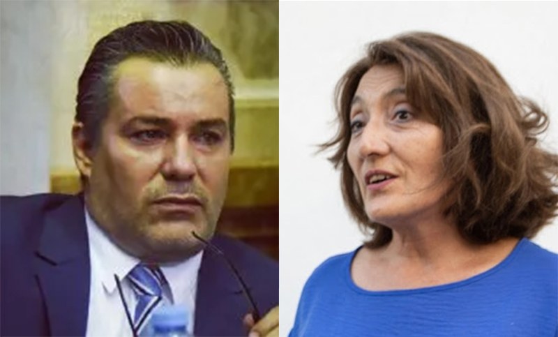 La Justicia confirmó que Alcira Figueroa reemplazará a Juan Ameri en Diputados