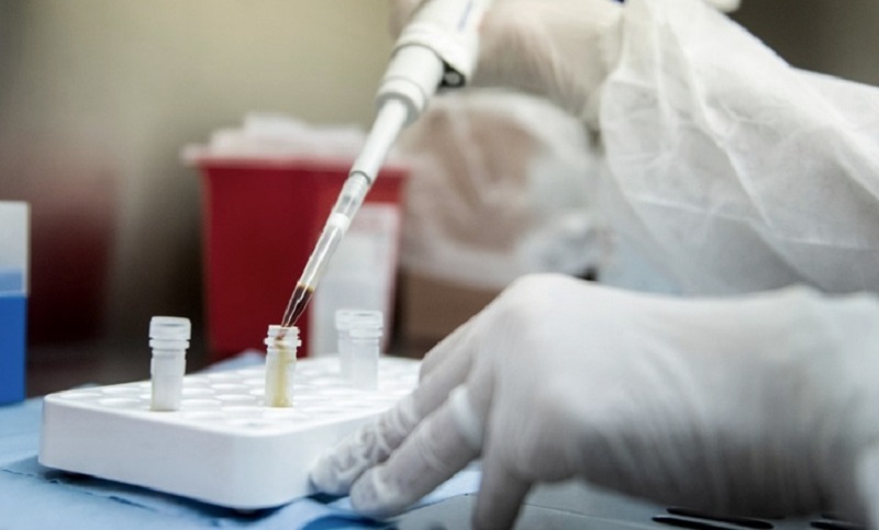 Investigadores del Inta y del Conicet desarrollaron anticuerpos para neutralizar el coronavirus