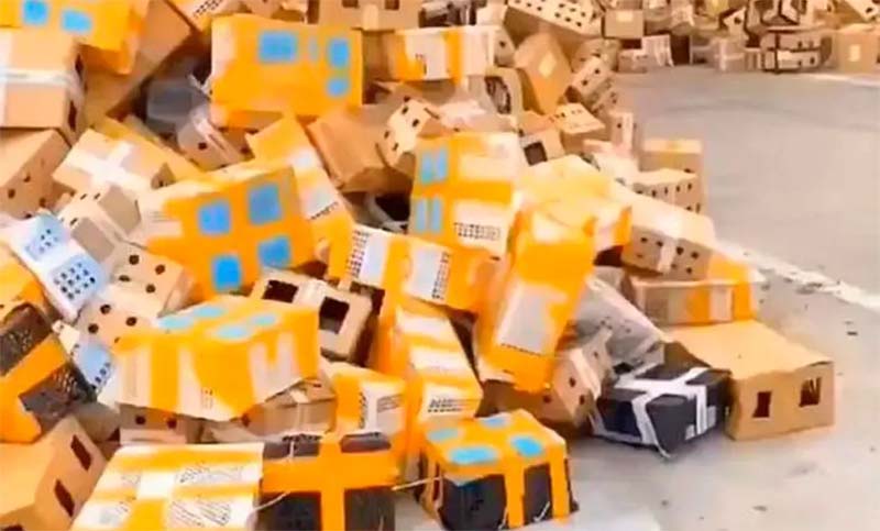 China: encuentran a 5000 mascotas muertas embaladas en un depósito