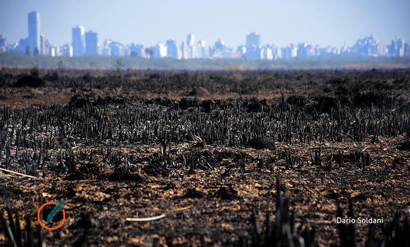 Proponen prohibir por 60 años la venta de predios afectados por incendios forestales
