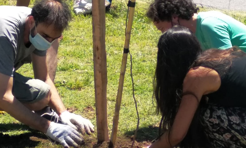 En el Día Mundial de la Ecología, plantaron árboles para pedir por la ley de humedales