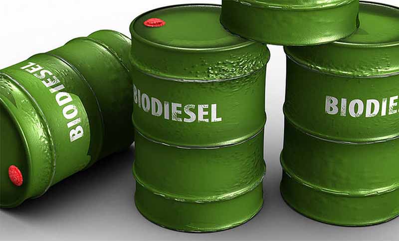 Estiman que la producción de biodiesel caerá 30% interanual hasta 1,56 millones de toneladas
