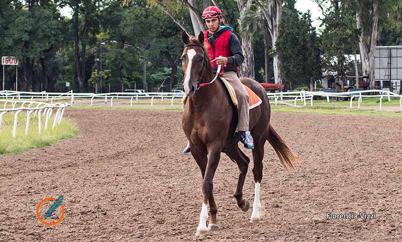 Vuelven las carreras al Hipódromo de Rosario