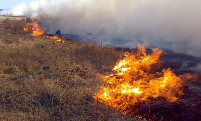 Incendios forestales: las sequías producidas por La Niña podrían continuar hasta marzo de 2021