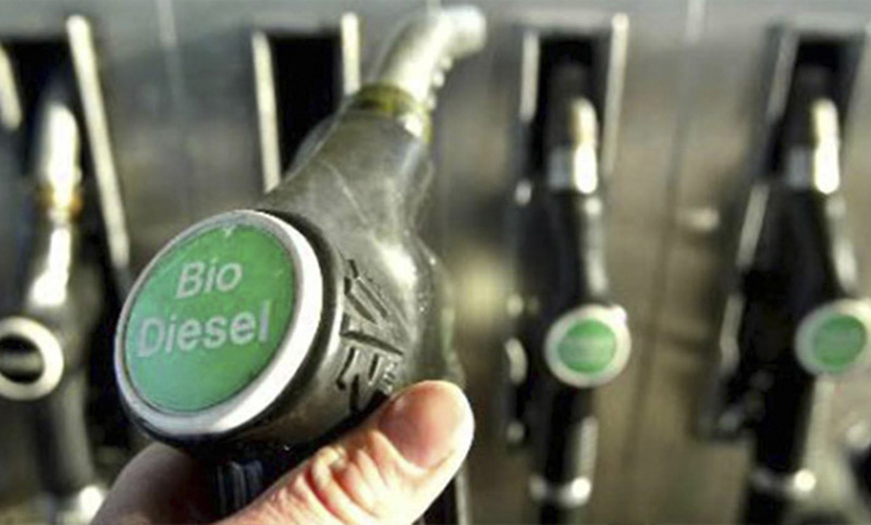 Pymes de biocombustibles denuncian “situación agónica” y piden actualización de precios