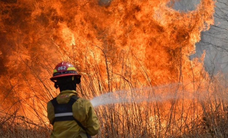En los primeros once meses del año se quemaron más de un millón de hectáreas en Argentina