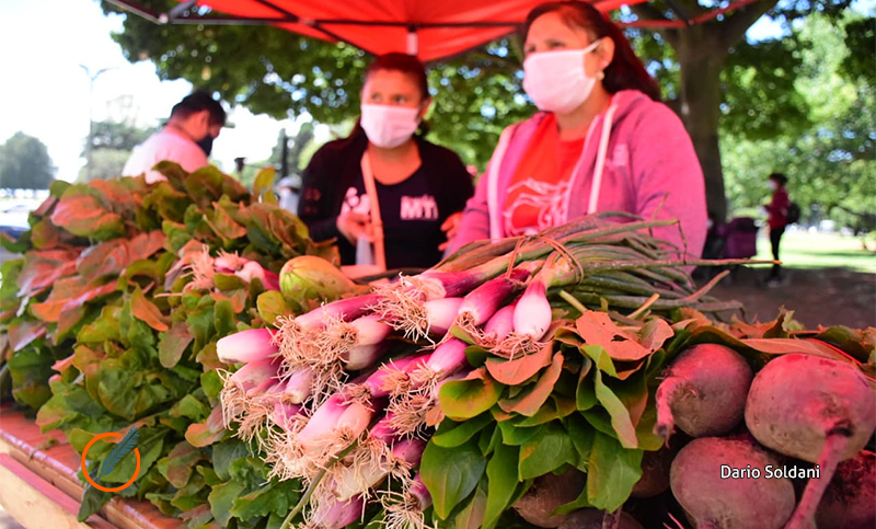 El MTE Rural realiza un verdurazo frente al Concejo en defensa de la producción frutihortícola