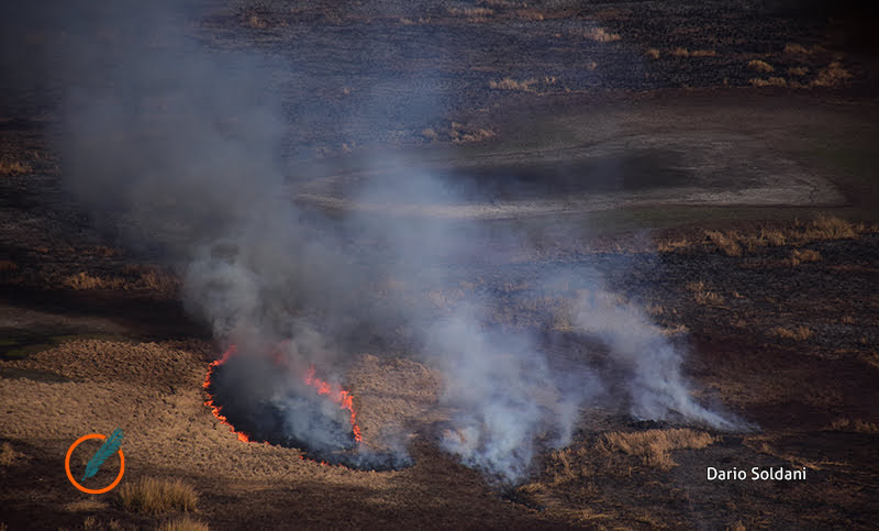 El Senado aprobó la nueva ley de manejo del fuego que prohíbe cambiar el uso de superficies incendiadas