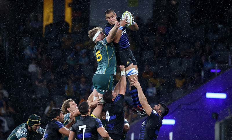 Los Pumas igualaron ante los Wallabies y quedaron segundos en el Tres Naciones