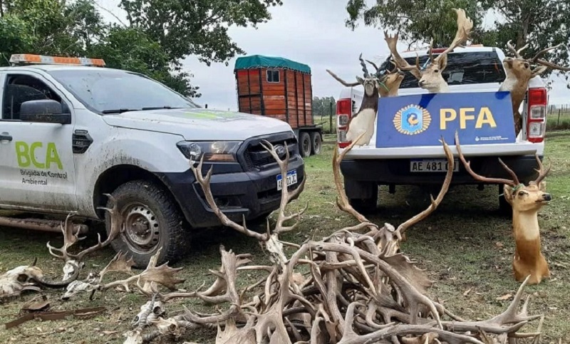 Rescataron más de 300 animales en cautiverio en cercanías de Mar del Plata
