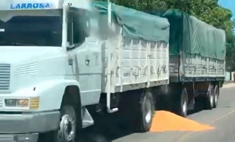 Ruralistas detuvieron a un camión que transportaba granos y le abrieron la carga en plena ruta