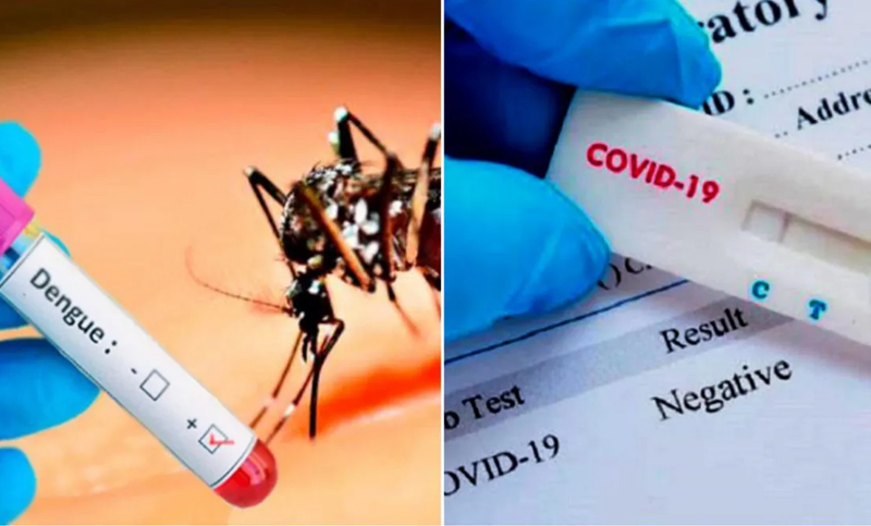 Se registran casos de «corona-dengue» y «corona-salmonella» en Salta