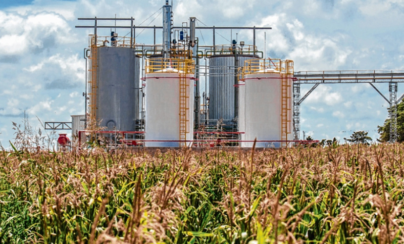 Gremios azucareros solicitaron al Senado la prórroga de la ley de biocombustibles