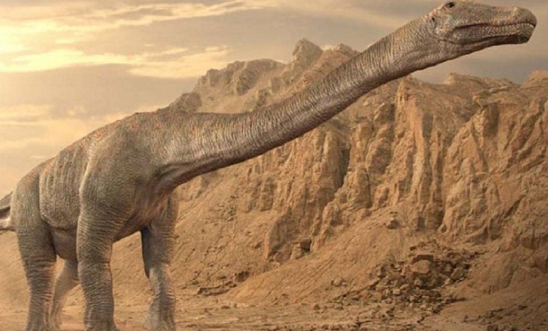 Hallaron restos de un dinosaurio que podría ser el animal terrestre más grande de la historia