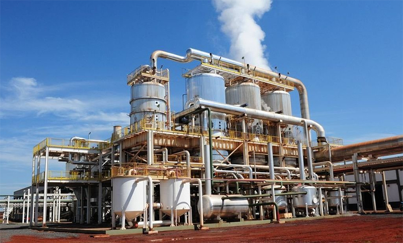 Dirigentes del sector de biodiesel ponderaron la actualización del precio: “Esto revitaliza todo”