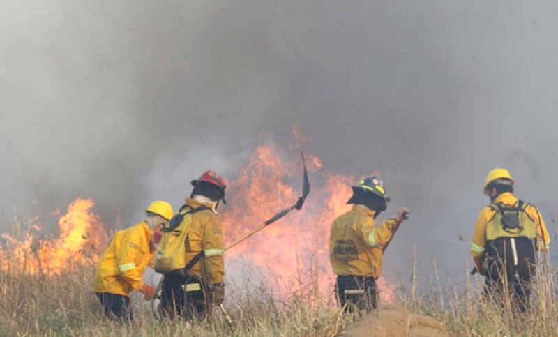 Los incendios en Santa Fe están controlados, pero tres provincias siguen con focos activos