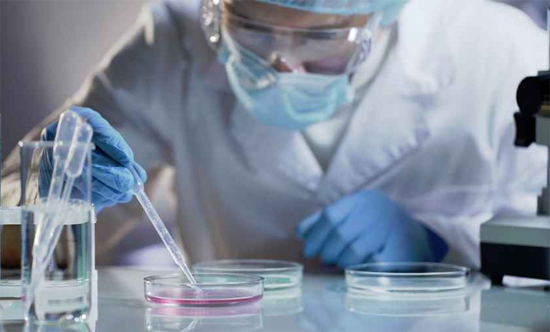 Científica argentina lideró estudio clave para comprender cómo ingresa el coronavirus a las células