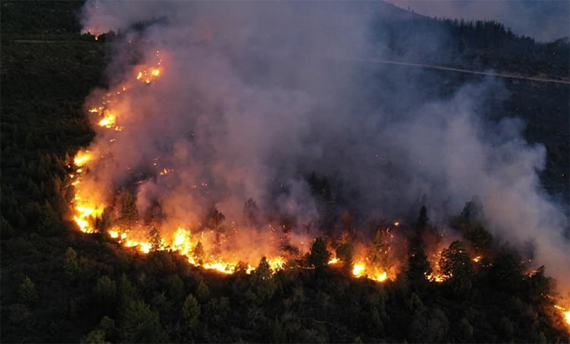 Avanza el incendio forestal en El Bolsón: ya consumió 10 mil hectáreas de bosques