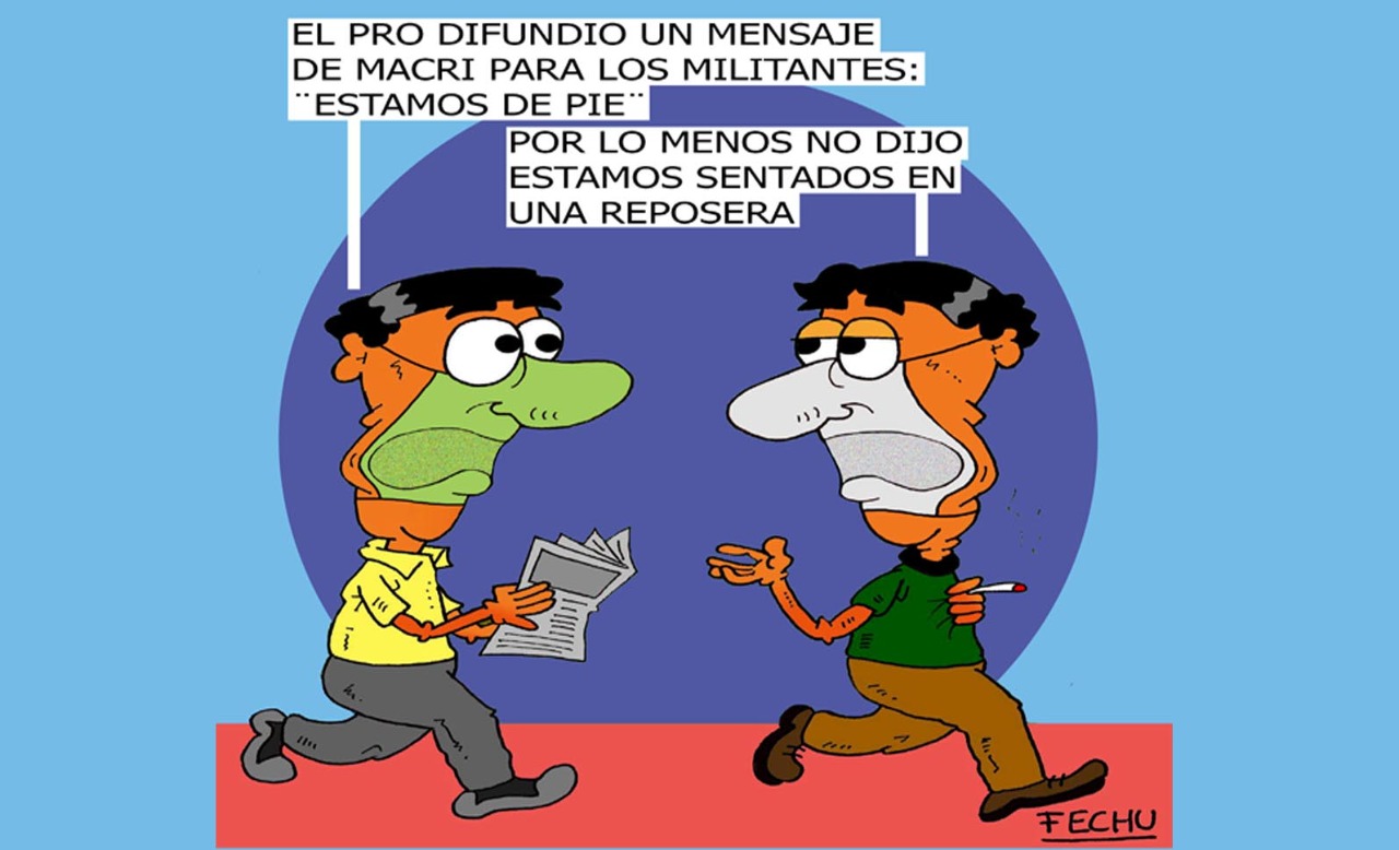 Domador de reposeras