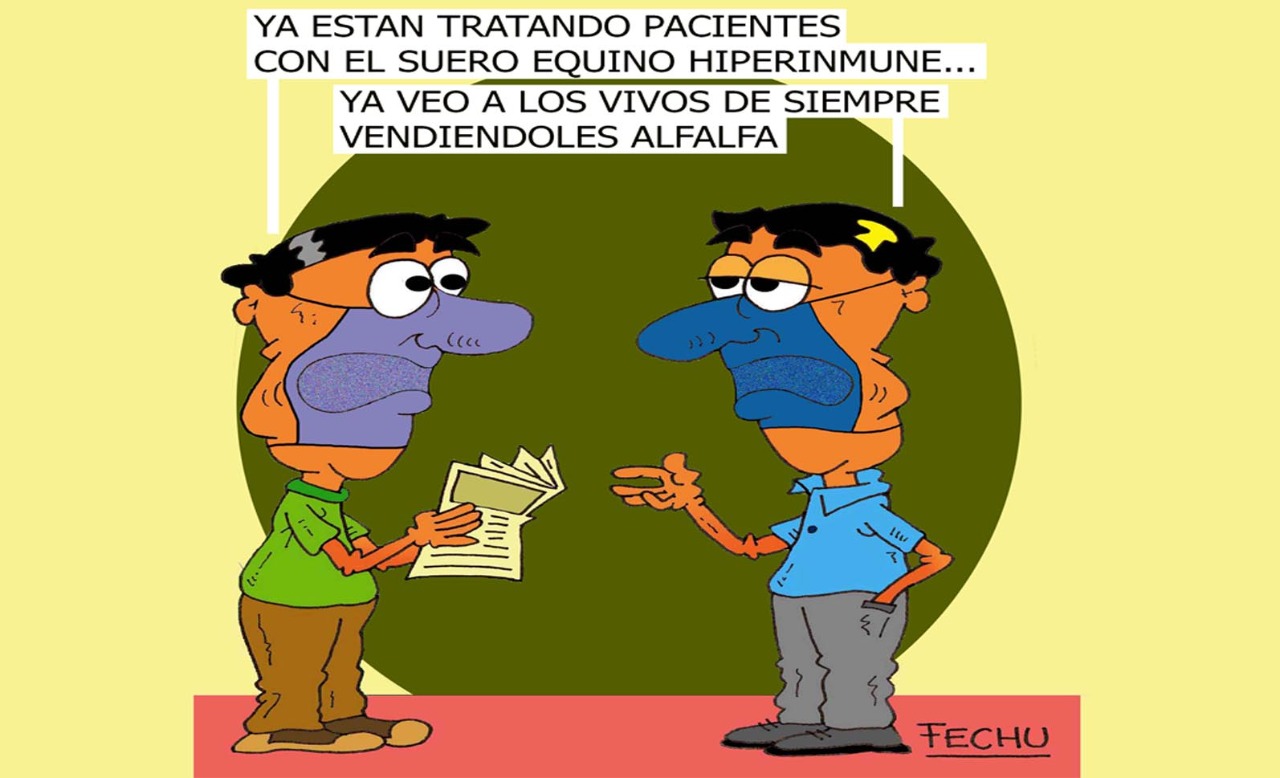 Suero equino