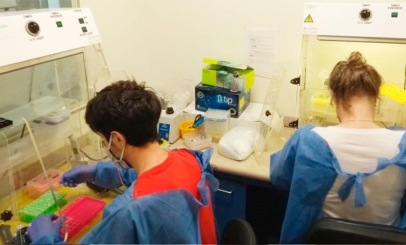 Coronavirus: Anmat autorizó un kit que permite un mayor número de muestras y a un costo menor
