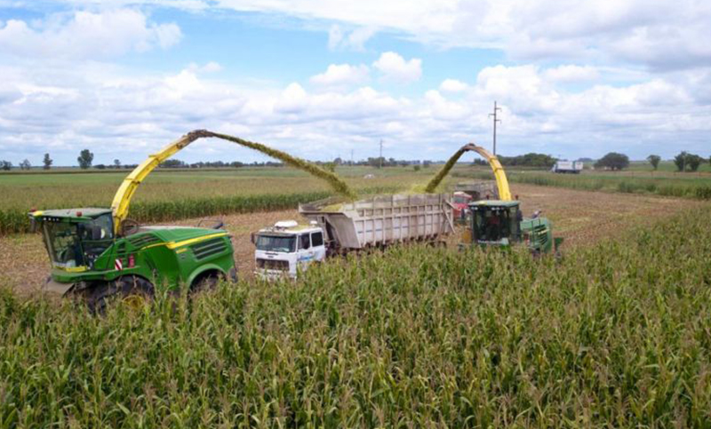 La UTEP Agraria apoya el cierre temporal de exportación de maíz