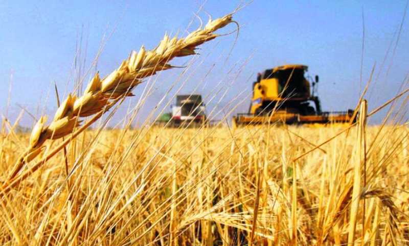 Bolsonaro confirmó que están “garantizadas” las exportaciones de trigo argentino a Brasil