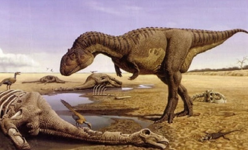 Hallaron restos fósiles de un dinosaurio que tendría unos 70 millones de años