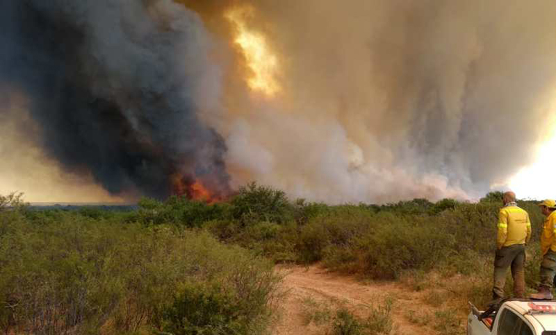 Prohíben hacer fuego en espacios públicos de Río Negro para prevenir incendios