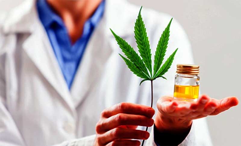 Autorizan la importación de productos con derivados del cannabis