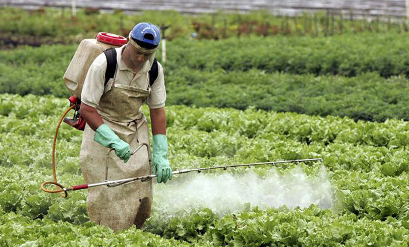 La exposición a pesticidas aumenta el riesgo de leucemia mieloide aguda, según un estudio