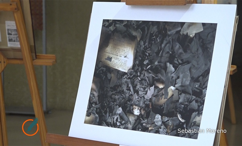 Una muestra de pinturas sobre los humedales que apela a tener memoria sobre la catástrofe