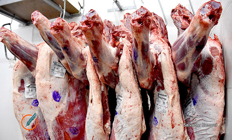 Suspendieron a 15 exportadoras de carne por evadir controles del Estado