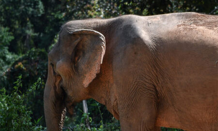 post