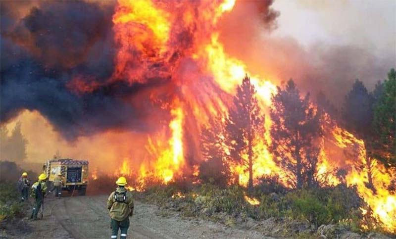Millonaria recompensa para dar con los responsables de los incendios en Chubut