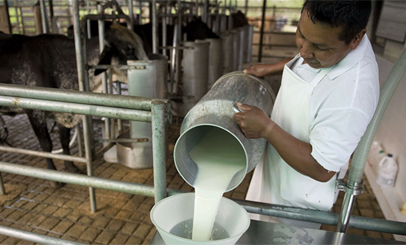 Tras un mal año para el comerio exterior, Santa Fe impulsa la exportación de lácteos