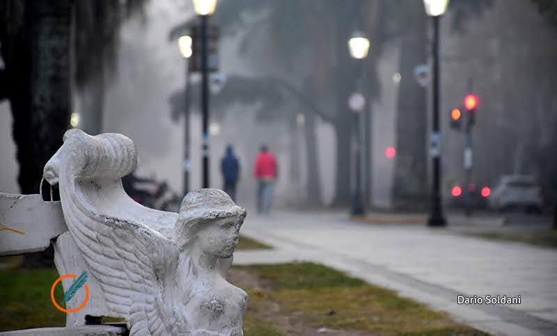 Más de 250 contagios de Covid sin muertes en Rosario este sábado