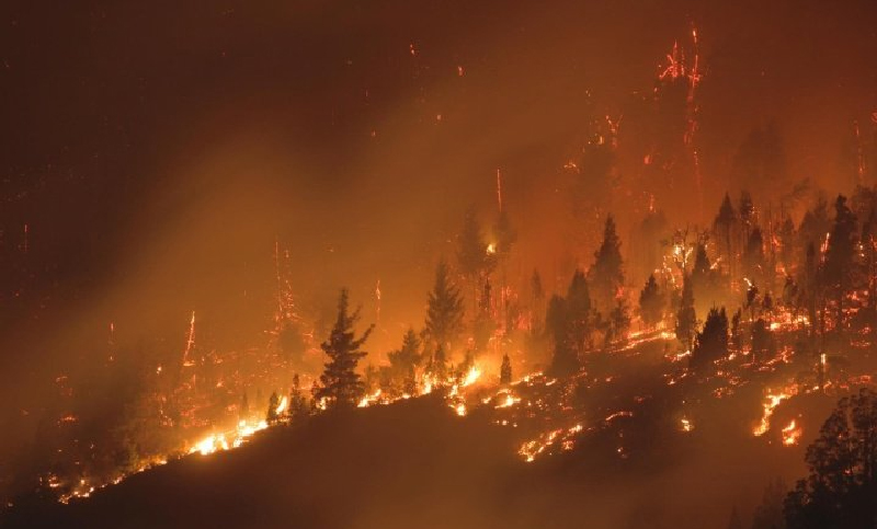 El Gobierno nacional monitorea los incendios forestales en la Patagonia