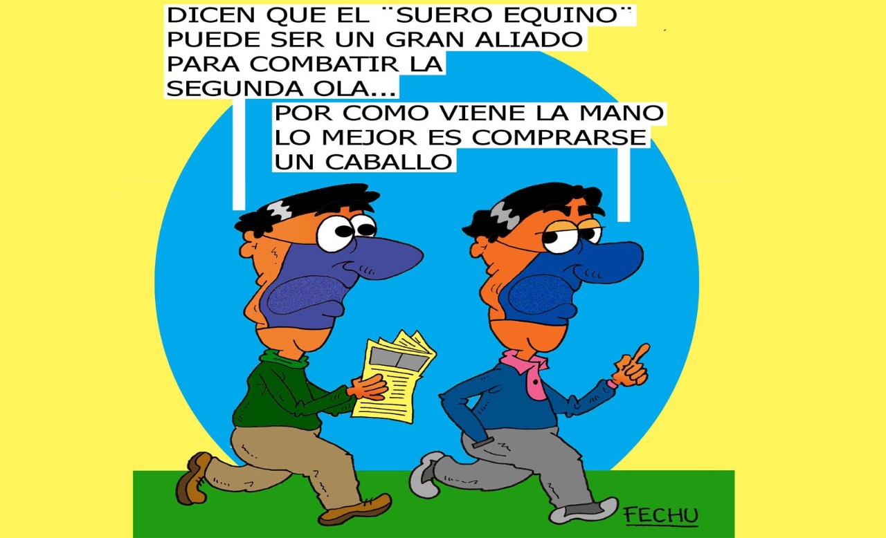 Suero equino