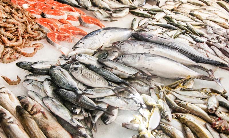 El Gobierno de Chubut distribuye 3 toneladas de pescado a familias en situación de vulnerabilidad