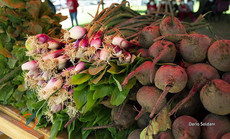Las frutas y verduras aumentaron hasta diez veces más que la inflación