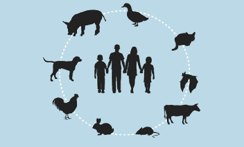 Tres cuartas partes de las enfermedades infecciosas emergentes se originan en animales
