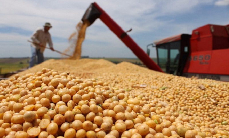 El precio de la soja superó los 600 dólares, el valor más alto desde 2012